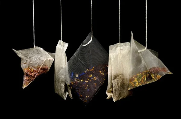 冬水芹は雑草じゃない！食べられる・役立つ・管理も簡単な春の植物