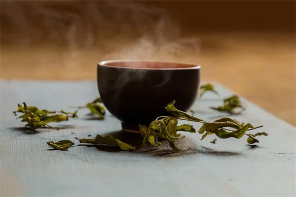 観葉植物が増えすぎて困ってるあなたへ：スタッキングミニ温室で省スペース＆おしゃれに解決